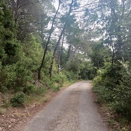 T1 Climatisé En Campagne